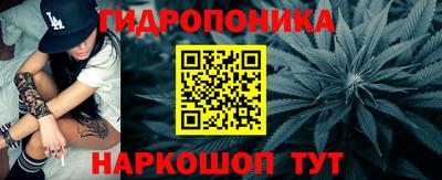 a pvp Бийск