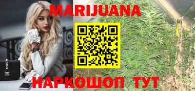 a pvp Бийск