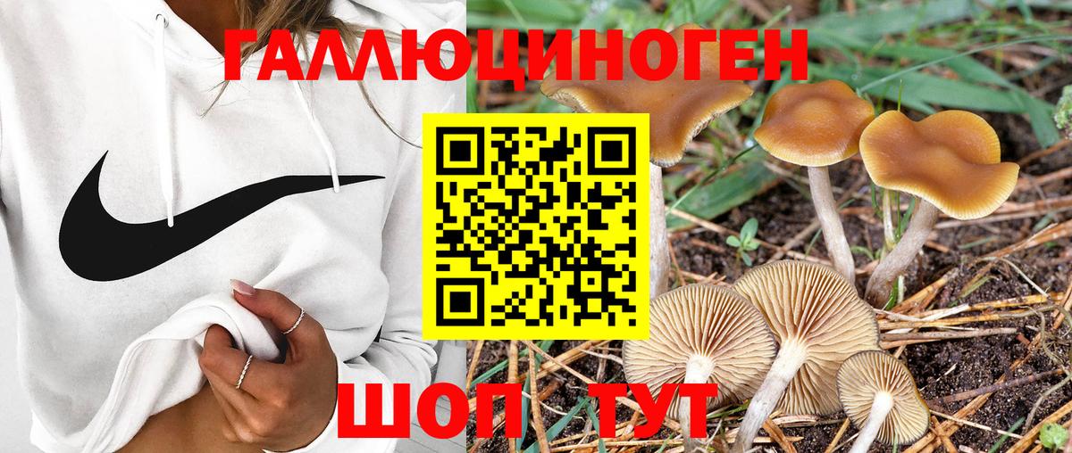 Псилоцибиновые грибы мухоморы Калуга
