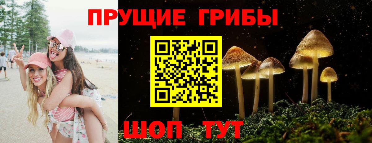 Калуга  Псилоцибиновые грибы мицелий  Вход с VPN 